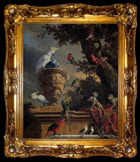 framed  Melchior de Hondecoeter The Menagerie, ta009-2